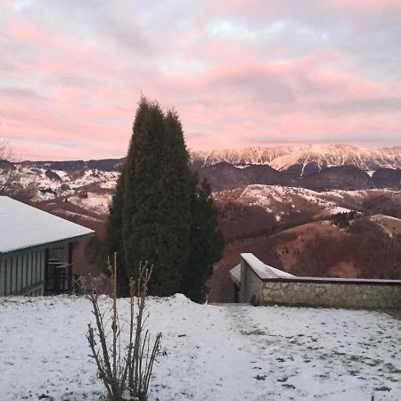 Drumul Carului Villa Moieciu de Jos Eksteriør bilde