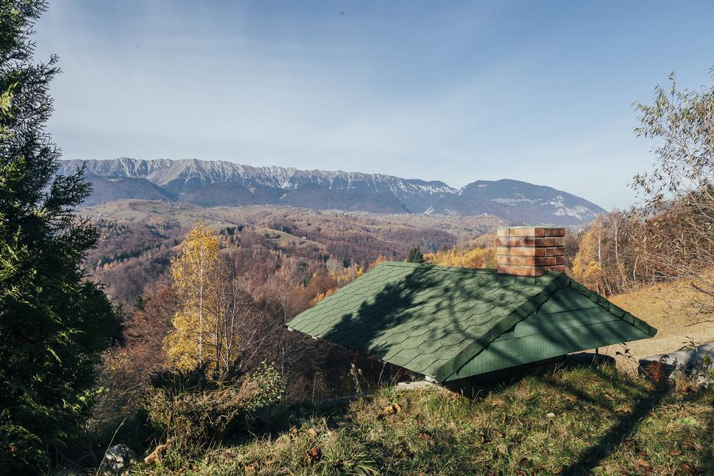 Drumul Carului Villa Moieciu de Jos Rom bilde