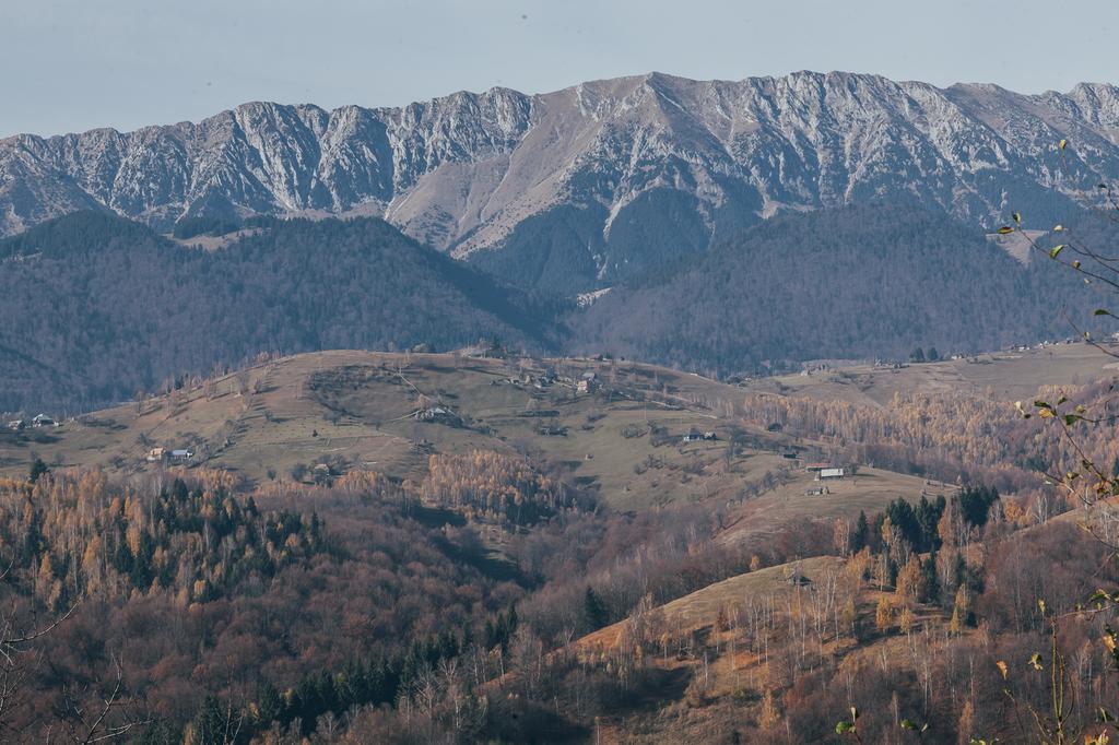 Drumul Carului Villa Moieciu de Jos Rom bilde
